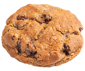 Oatmeal & Raisin